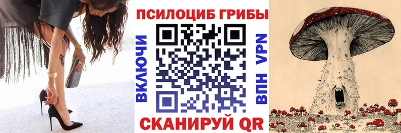 Галлюциногенные грибы Psilocybine cubensis  Купить  Мытищи 
